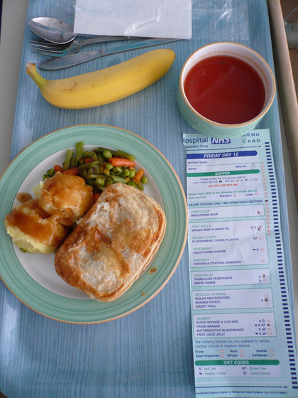world_hospitalfood16