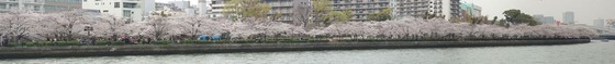 train_japan_trip_3