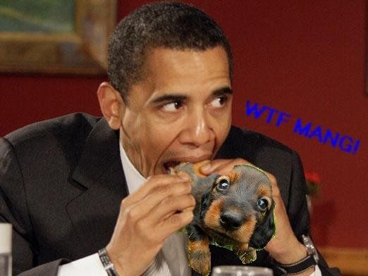 obama_puppy