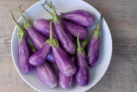 eggplant_9