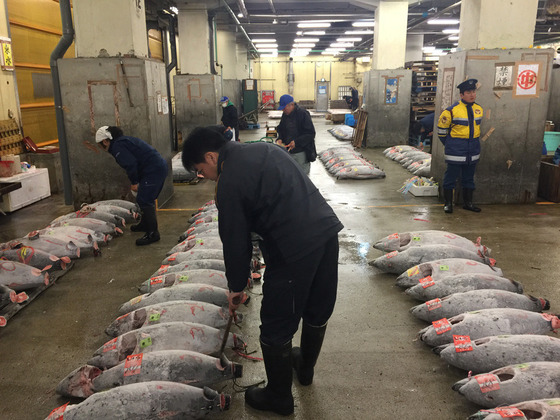 tsukiji_16