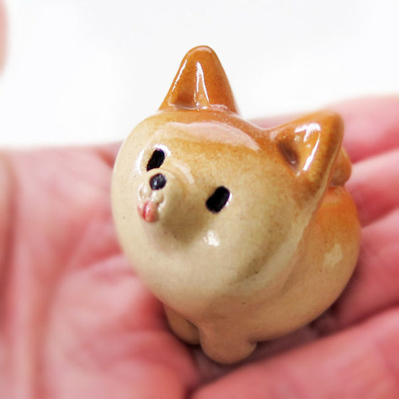 shibainu_29