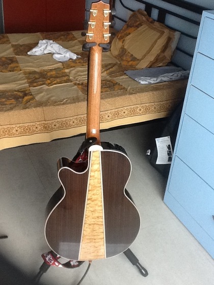 takamine_3