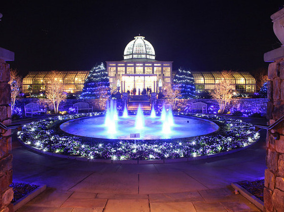 world_chiristmas_24_2