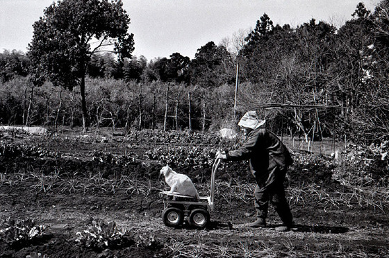 misao_fukumaru_5