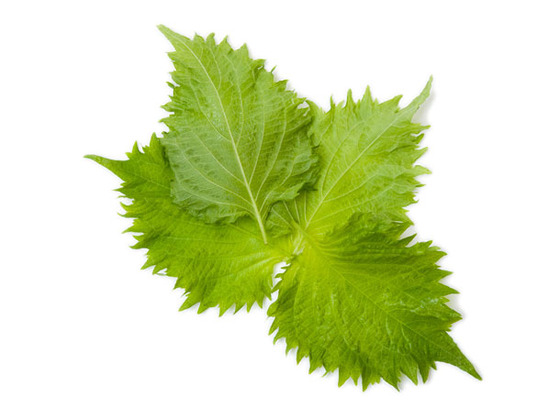 veg_1
