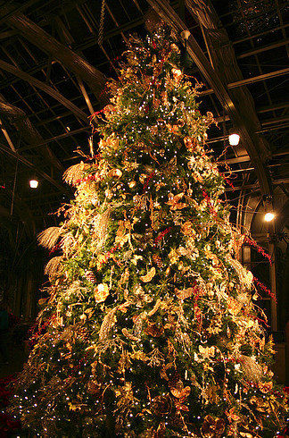 world_chiristmas_24_1