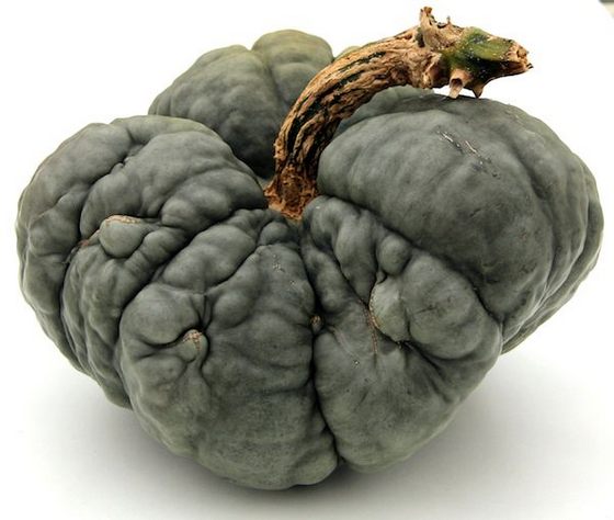 pumpkin_5