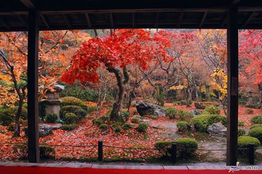 japan_fallscene5