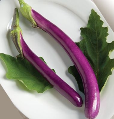 eggplant_7