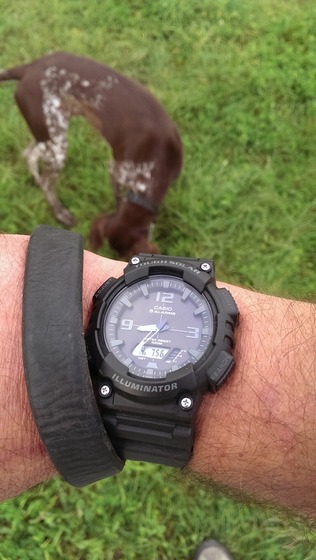 basic_casio_45