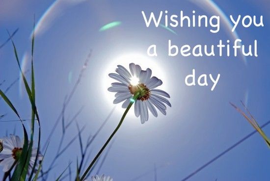 Wishing-you-a-beautiful-day