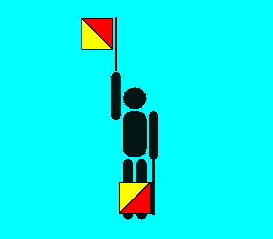 flag