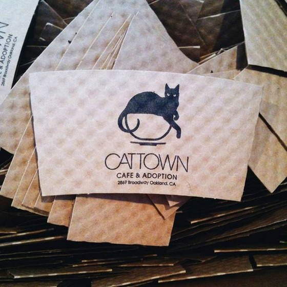 catland_1_3