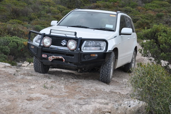 suzuki_30