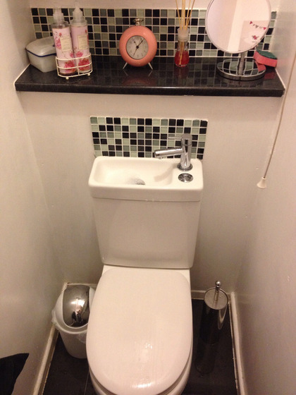 japan_toilet_sink2