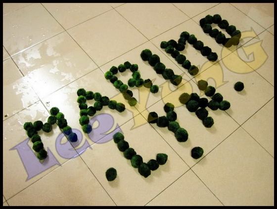 marimo8