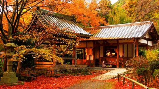 10reason_autumn_japan_1