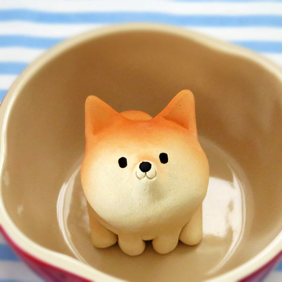 shibainu_14