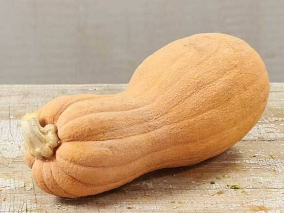 pumpkin_11
