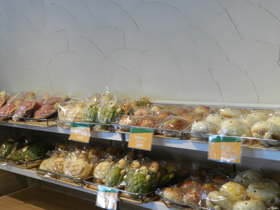 swedish_japan_trip_21