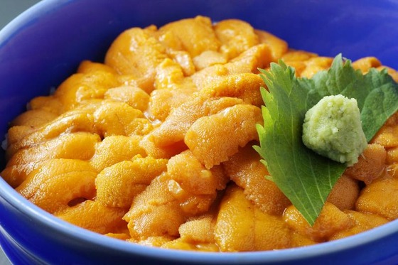 donburi_10