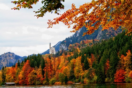 autumn_place_6