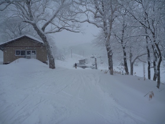 tohoku_ski_16