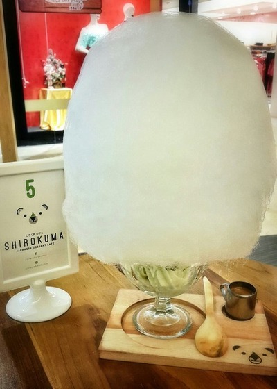 shirokuma_1