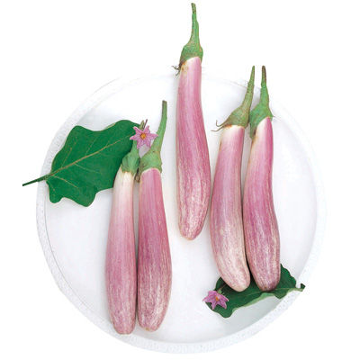eggplant_12