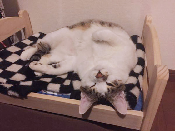 ikea_dool_bed13
