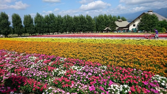 bike_touring_38