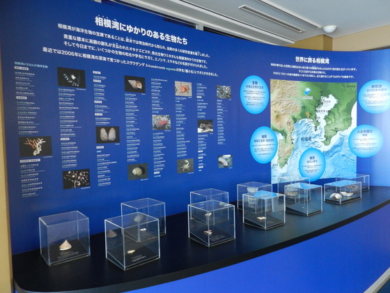 swedish_japan_trip_18