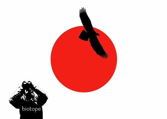 bird_japan_1