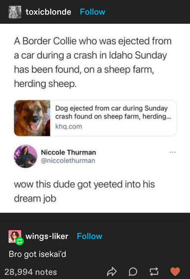 01600