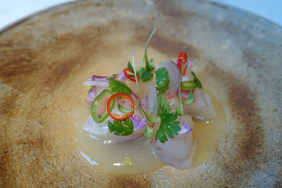 tokyo_luxury_52