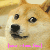 doge