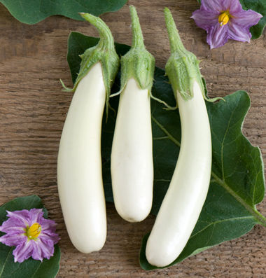 eggplant_11