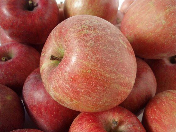 海外「日本のコンビニで売ってるカットりんごが凄く美味しかったんだけど、なんて品種なんだろう？」日本のりんごに対する海外の反応