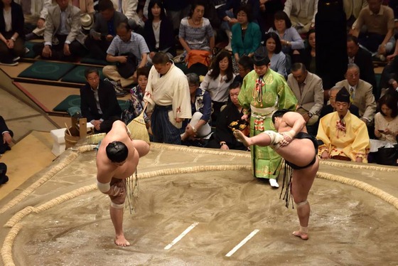 sumo_6