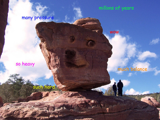doge4