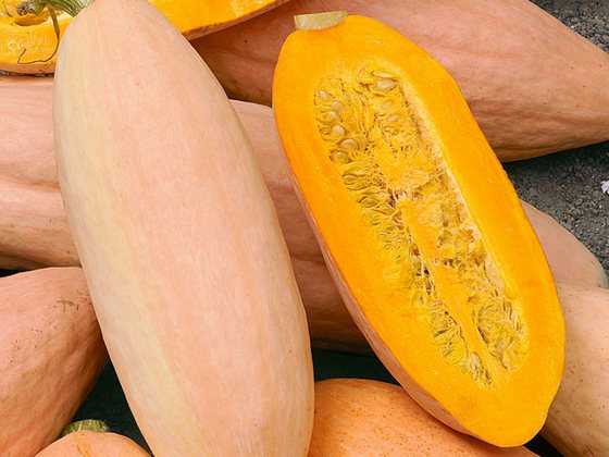 pumpkin_9