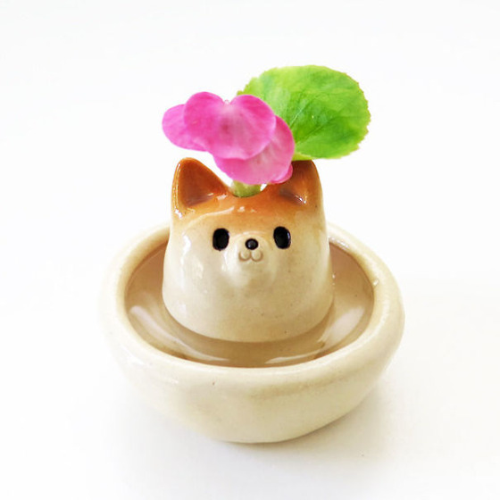 shibainu_1