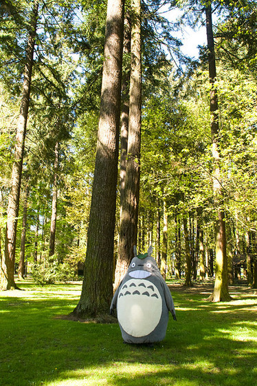 totoro17