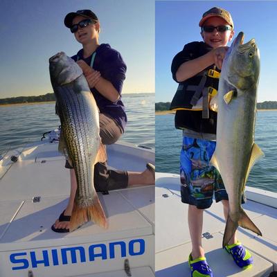 shimano_1