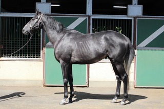 ロードスカイブルー_20250930