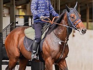 ������ɥå�_20251030