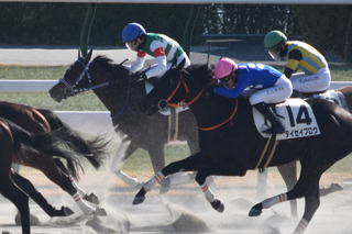 �쥶�󥯥졼��_20260110