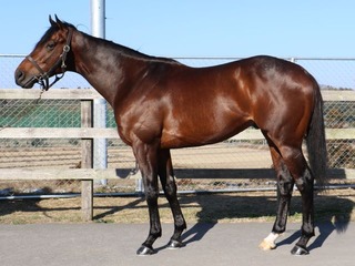 �����֥�ॹ_20260130