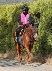 �ե���_202511